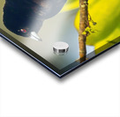 Skyfire Starling Acrylic print