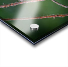 Dance of Nectar Acrylic print