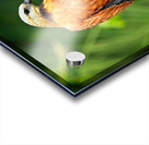 Golden Forest Guardian Acrylic print