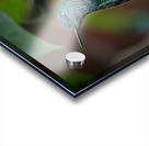 Emerald Perch Acrylic print