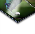 Emerald Whisper Acrylic print