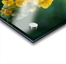 Vertical Symphony of Yellow Blooms Acrylic print