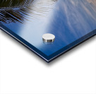 Palm-Framed Sunset Acrylic print