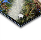 Tropical Shoreline Paradise Acrylic print