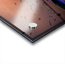 Dawn Flight Over Still Waters Acrylic print