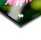 Jungle Bloom Elegance Acrylic print