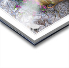 Rustic Garden Vase Acrylic print