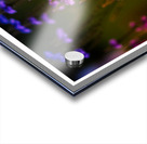 Garden Glow Acrylic print