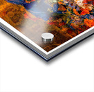 Festival of Color Acrylic print