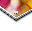 Music in Motion Acrylic print