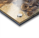 Lion Sisters Acrylic print