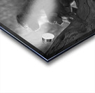 Baboons in Morning Light Acrylic print