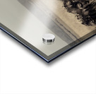 Wildebeest Migration Line Acrylic print