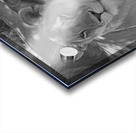 Sisters of the Savannah Acrylic print