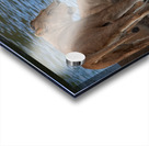 Waterfront Curiosity Acrylic print