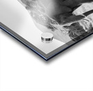 March of the Matriarchs Acrylic print