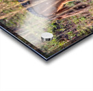 Silent Watcher of the Plains Acrylic print