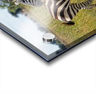 Striped Harmony Acrylic print