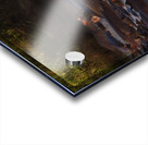 The Hippo Crowd Acrylic print