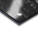 Wisdom in the Wrinkles Acrylic print