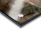 Royal Rest Acrylic print