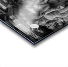 Carved Heritage II Acrylic print