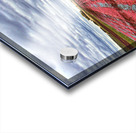 Crimson Harvest Acrylic print