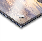 Golden Hour Over the Meadow Acrylic print