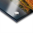 Starlit Harvest Night Acrylic print