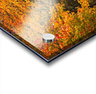 Pathway to Autumn Acrylic print