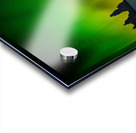 Aurora Borealis Acrylic print