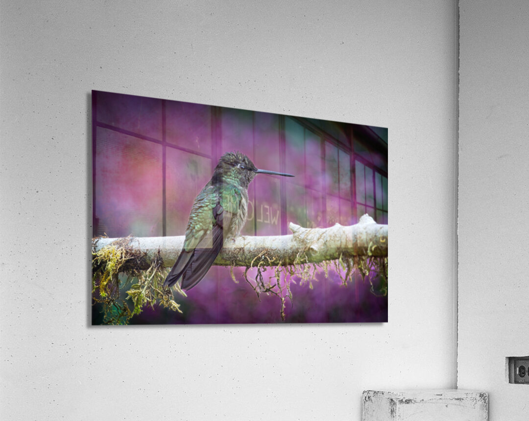 Quiet Jewel Acrylic Print