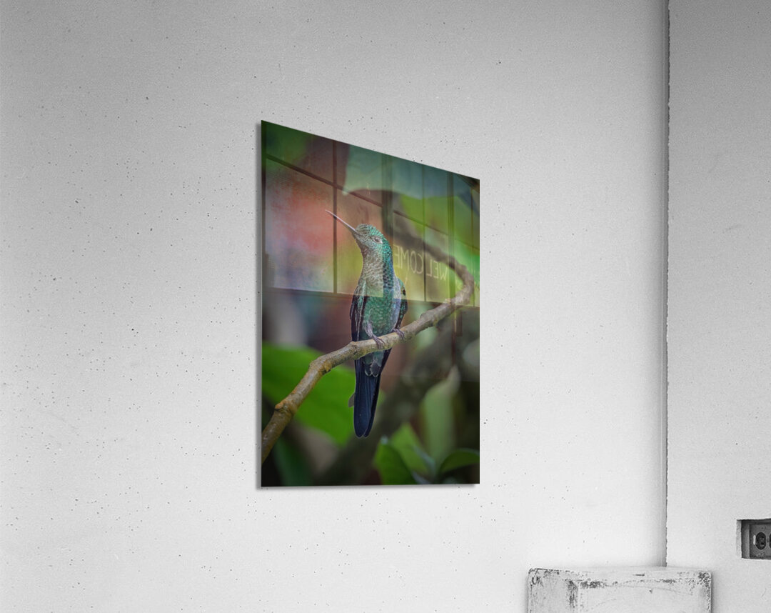 Emerald Perch Acrylic Print