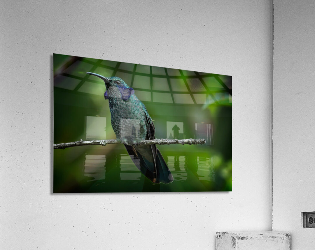 Emerald Whisper Acrylic Print