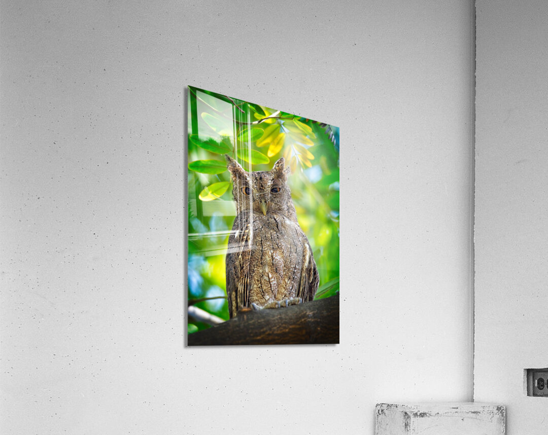 Silent Sentinel Acrylic Print