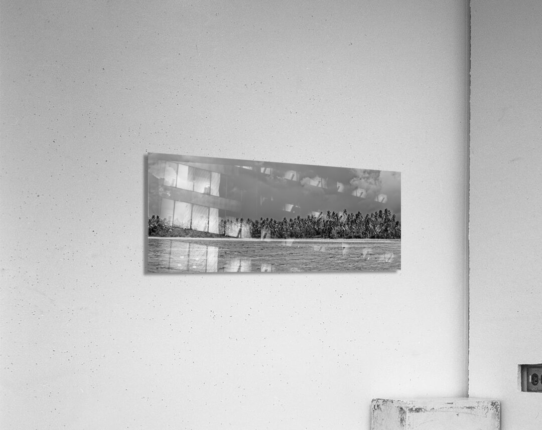 Palm Forest in Black & White Acrylic Print