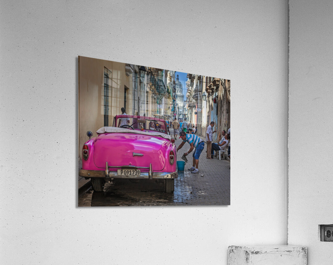 Washing the Pink Convertible Acrylic Print