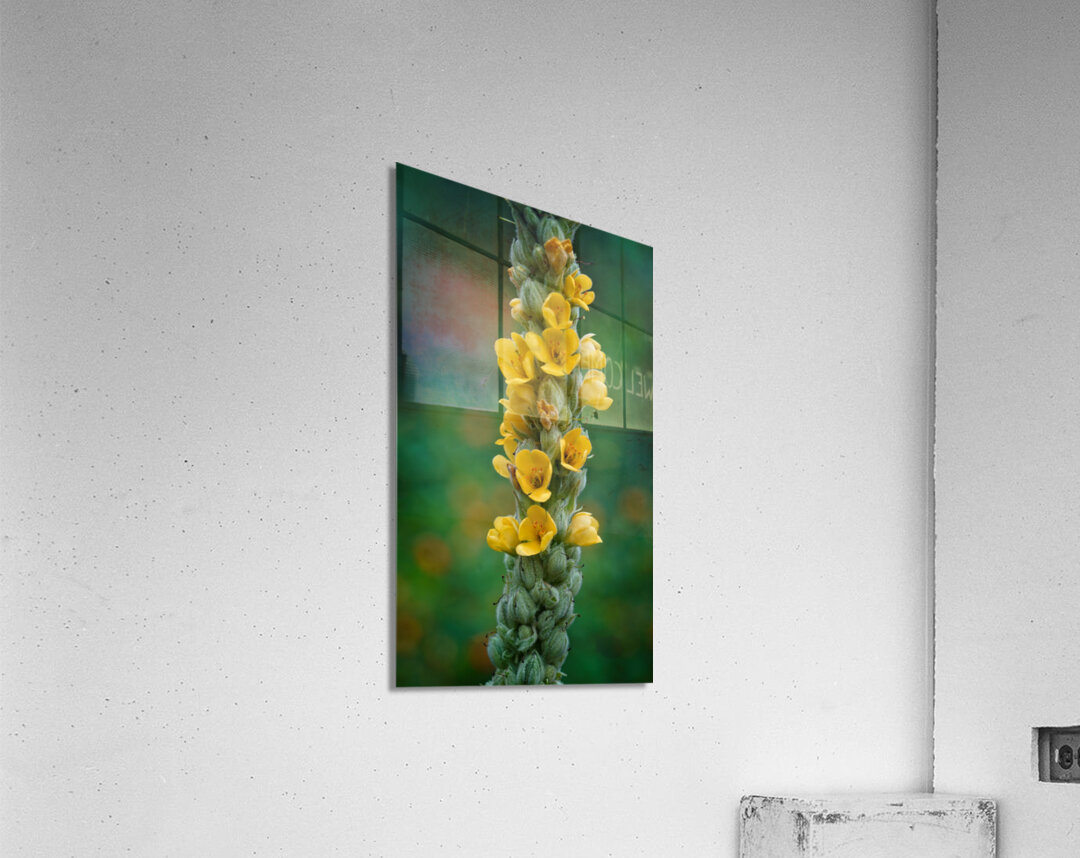 Vertical Symphony of Yellow Blooms Acrylic Print