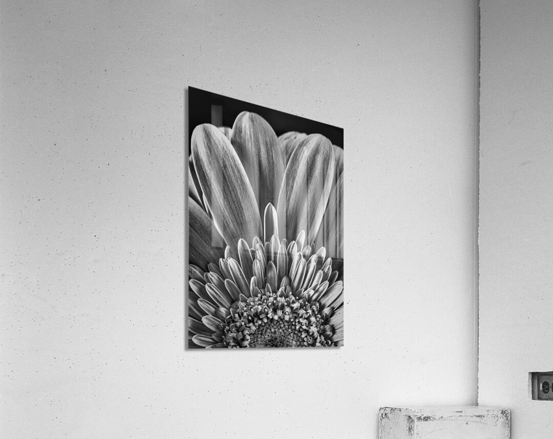 Bloom Acrylic Print