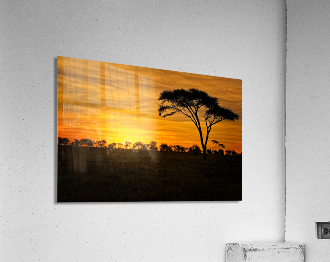 Savanna Gold Acrylic Print