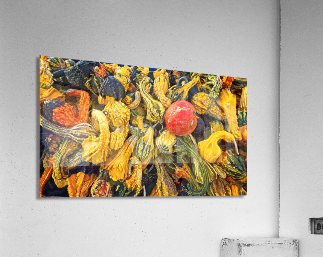 Harvest Chaos Acrylic Print