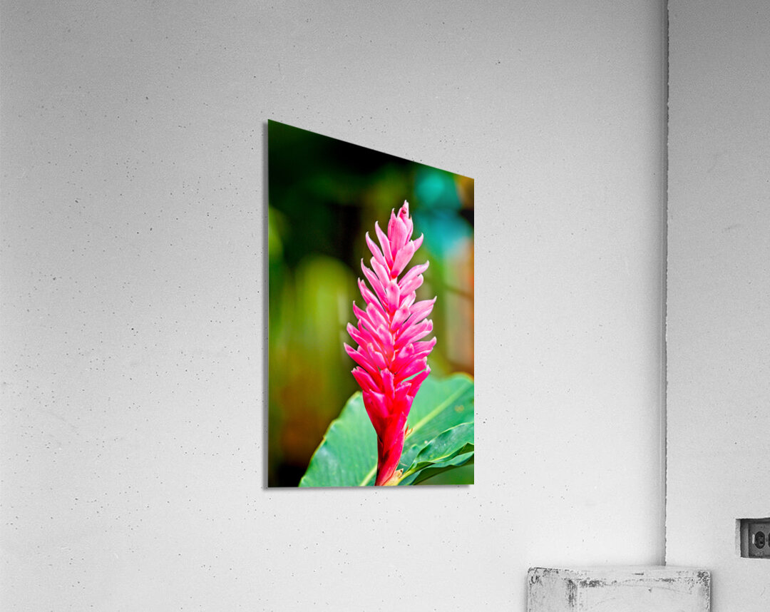 Jungle Bloom Elegance Acrylic Print