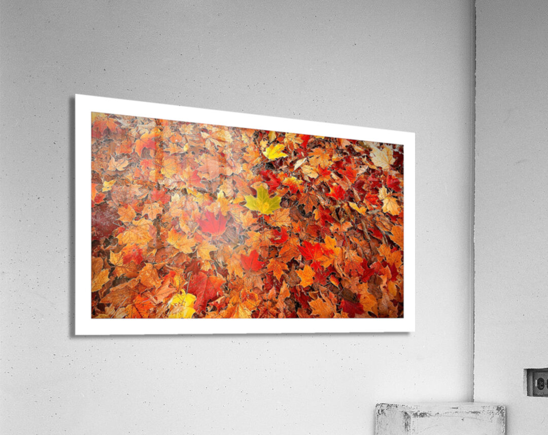 Autumn Carpet Acrylic Print