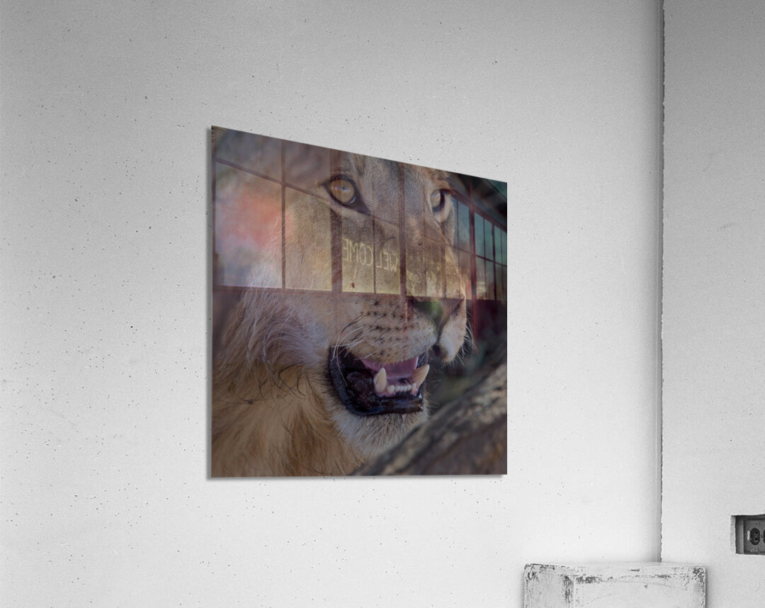 Close Look Acrylic Print