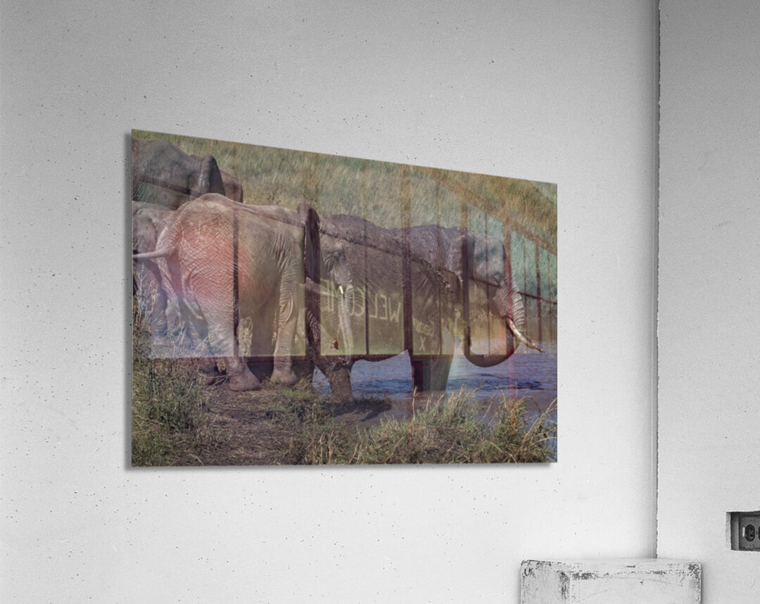 Mud Bath Joy Acrylic Print