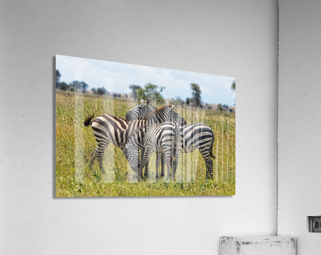 Striped Harmony Acrylic Print