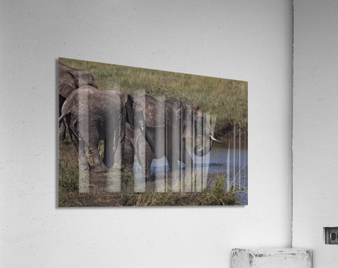 Mud Bath Ritual Acrylic Print