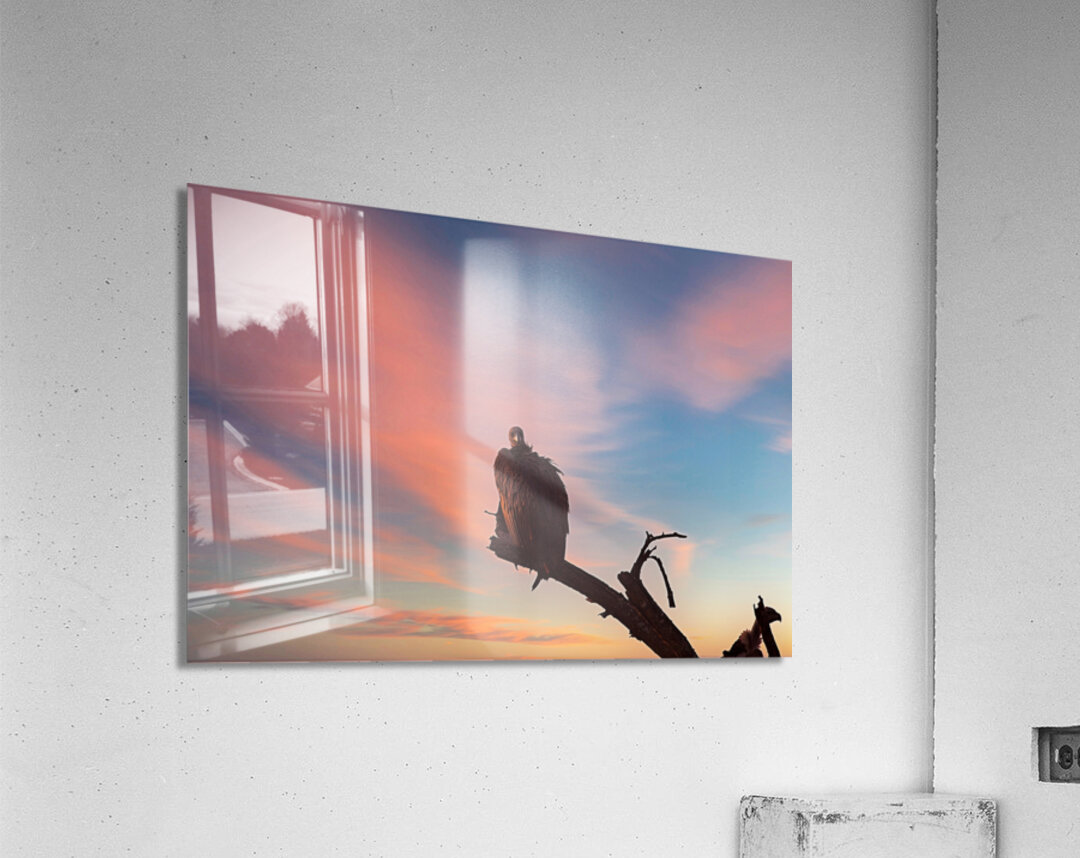 Sky Watcher Acrylic Print