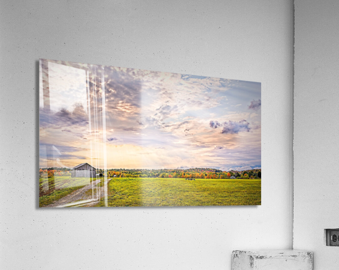 Golden Hour Over the Meadow Acrylic Print