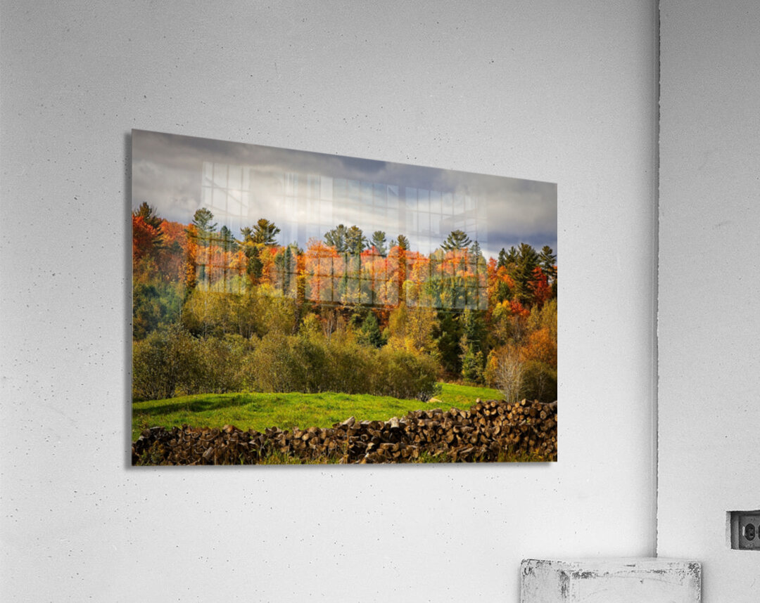 Autumn Harmony Acrylic Print